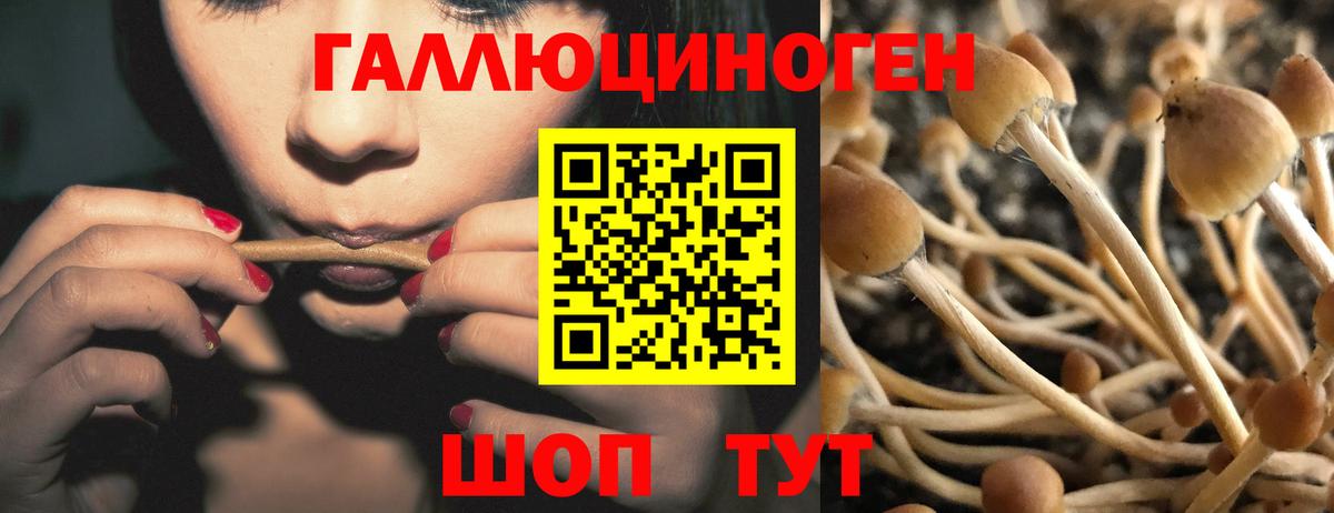 Рубцовск  Псилоцибиновые грибы мухоморы  Псилоцибиновые грибы MAGIC MUSHROOMS  Вход с VPN 