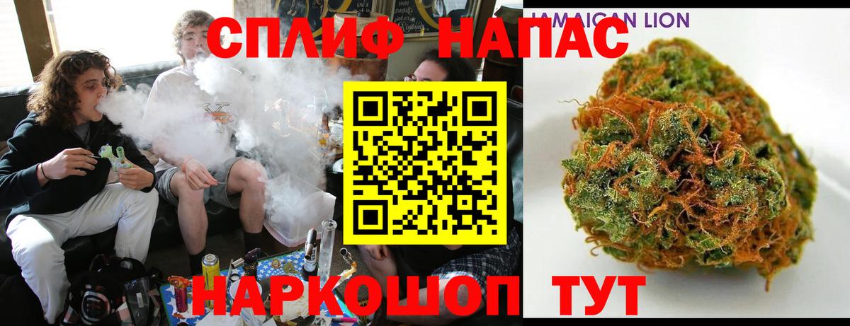 Бошки Шишки семена  Каннабис планчик  Рубцовск  Вход с VPN 